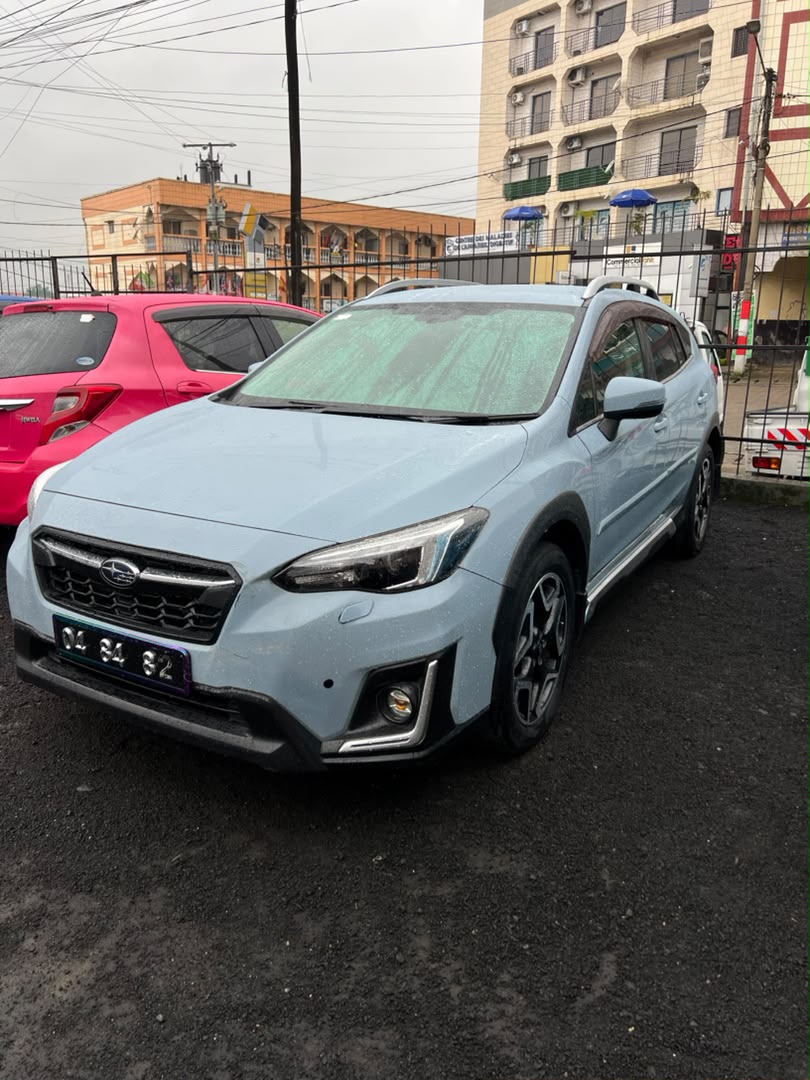 XV